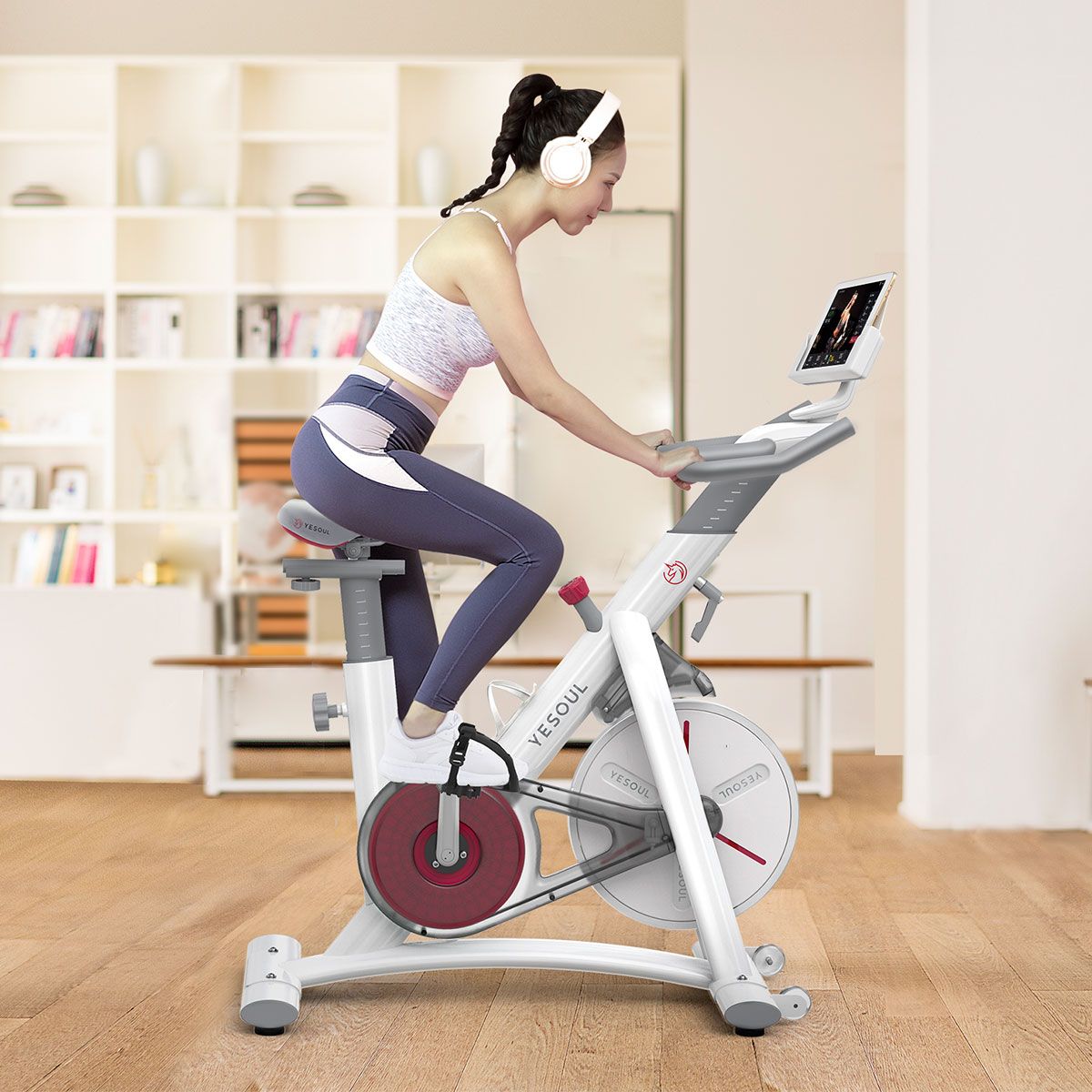 wayfair exercise bike