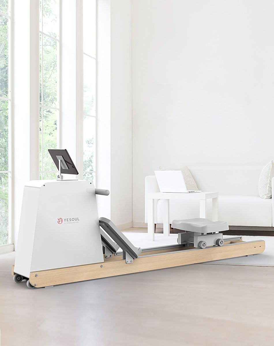 best row machine under 300
